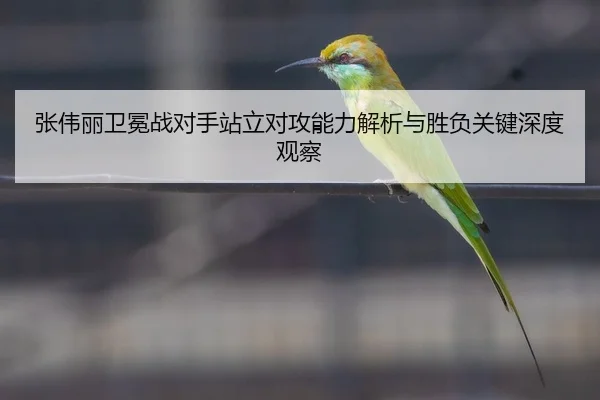张伟丽卫冕战对手站立对攻能力解析与胜负关键深度观察